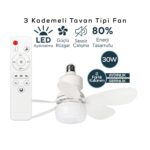 ventus fan